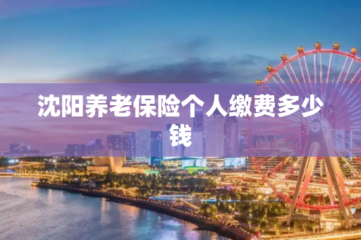 沈阳养老保险个人缴费多少钱