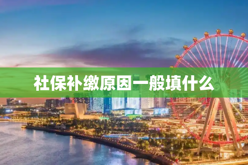 社保补缴原因一般填什么