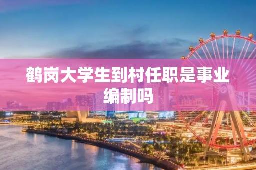 鹤岗大学生到村任职是事业编制吗