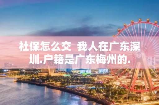 社保怎么交  我人在广东深圳.户籍是广东梅州的.