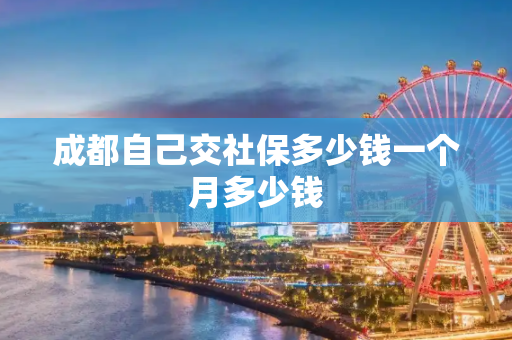 成都自己交社保多少钱一个月多少钱