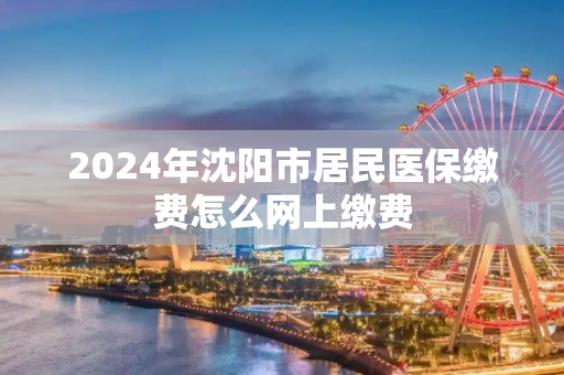 2024年沈阳市居民医保缴费怎么网上缴费