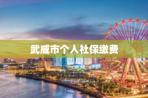 武威市个人社保缴费
