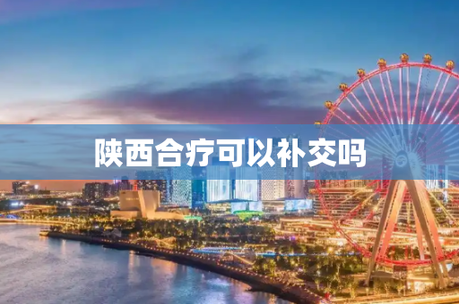 陕西合疗可以补交吗