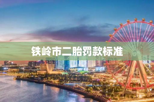 铁岭市二胎罚款标准