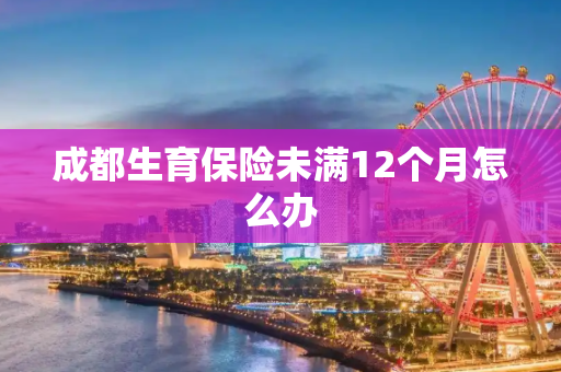 成都生育保险未满12个月怎么办