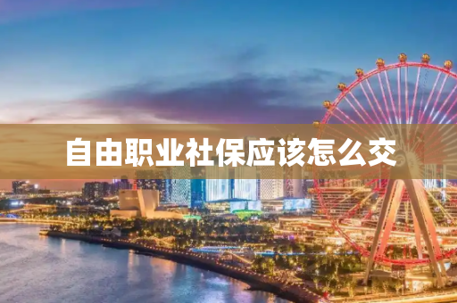 自由职业社保应该怎么交
