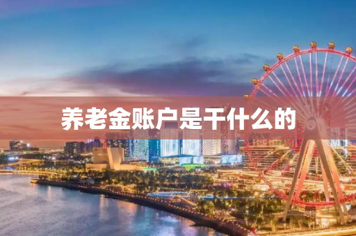 养老金账户是干什么的