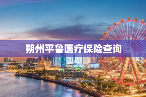 朔州平鲁医疗保险查询