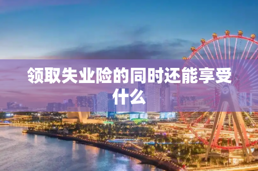 领取失业险的同时还能享受什么
