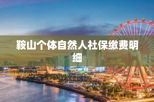鞍山个体自然人社保缴费明细