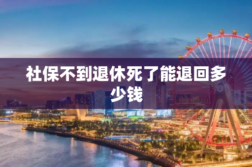 社保不到退休死了能退回多少钱