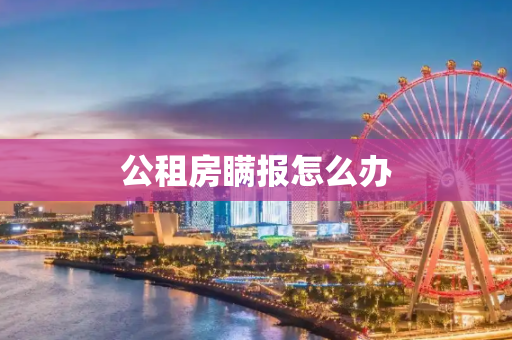 公租房瞒报怎么办