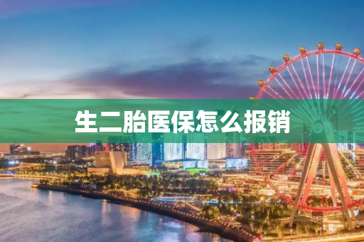 生二胎医保怎么报销