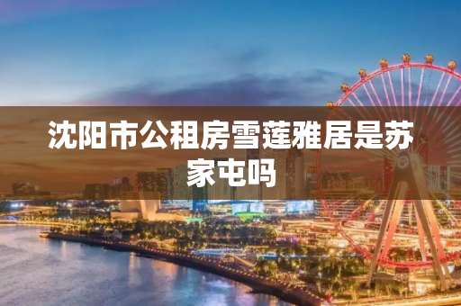 沈阳市公租房雪莲雅居是苏家屯吗