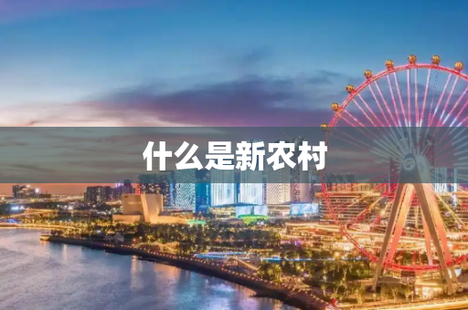 什么是新农村