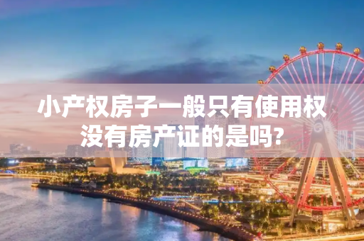 小产权房子一般只有使用权没有房产证的是吗?