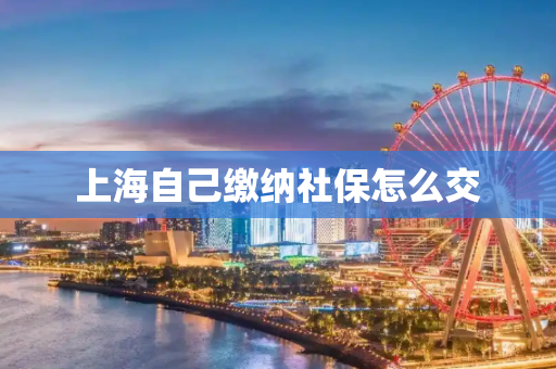 上海自己缴纳社保怎么交