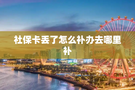 社保卡丢了怎么补办去哪里补