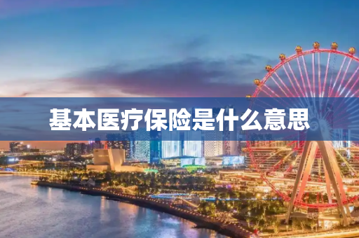 基本医疗保险是什么意思