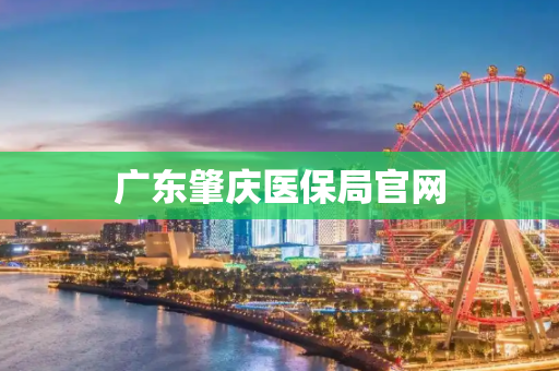 广东肇庆医保局官网