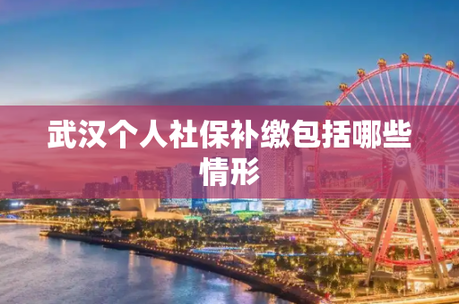 武汉个人社保补缴包括哪些情形