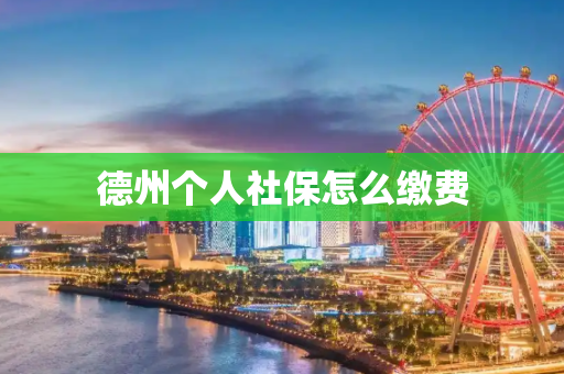 德州个人社保怎么缴费