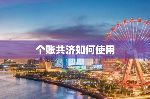 个账共济如何使用