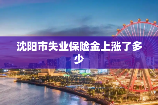 沈阳市失业保险金上涨了多少