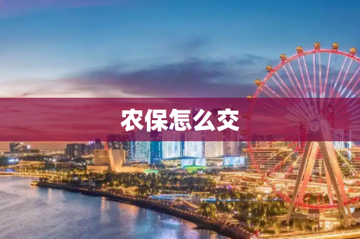农保怎么交