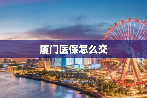 厦门医保怎么交