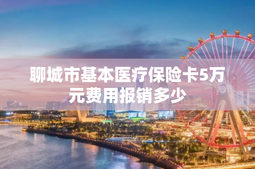 聊城市基本医疗保险卡5万元费用报销多少