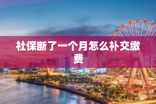 社保断了一个月怎么补交缴费