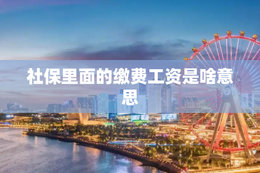 社保里面的缴费工资是啥意思
