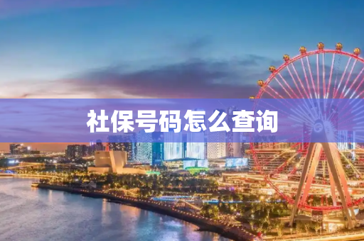 社保号码怎么查询