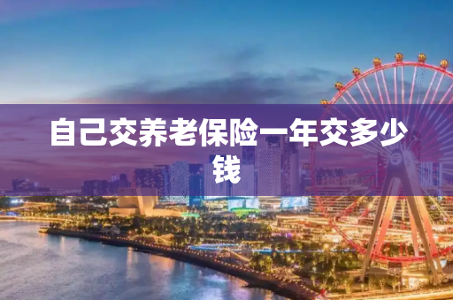 自己交养老保险一年交多少钱