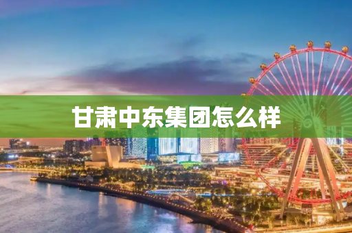 甘肃中东集团怎么样