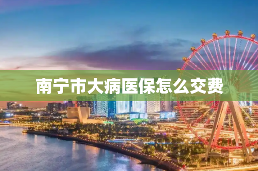 南宁市大病医保怎么交费