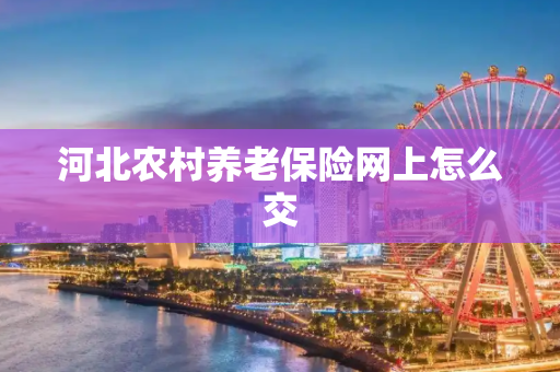 河北农村养老保险网上怎么交