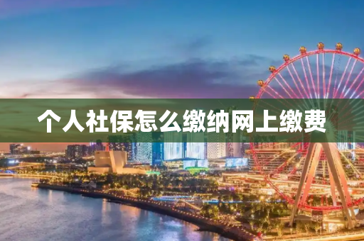 个人社保怎么缴纳网上缴费