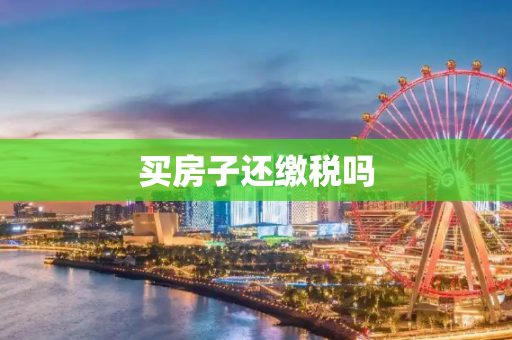 买房子还缴税吗