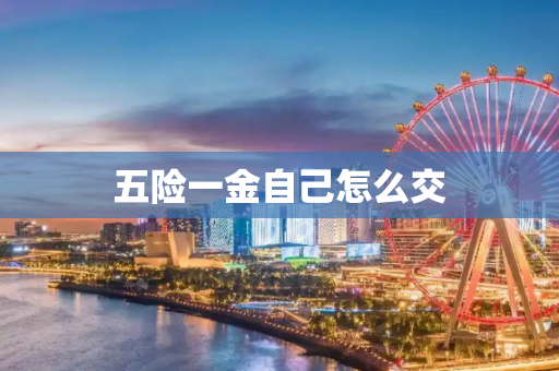 五险一金自己怎么交