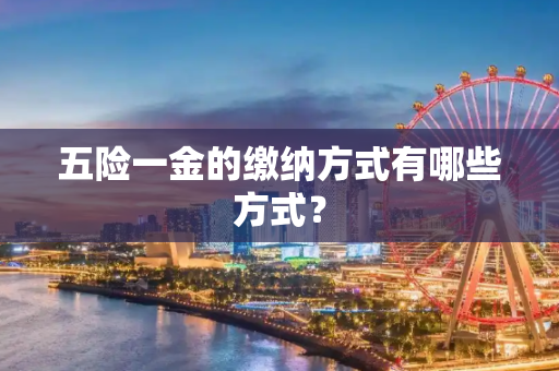 五险一金的缴纳方式有哪些方式？