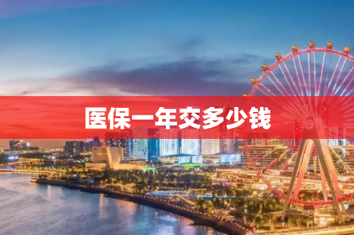 医保一年交多少钱