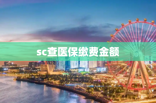 sc查医保缴费金额