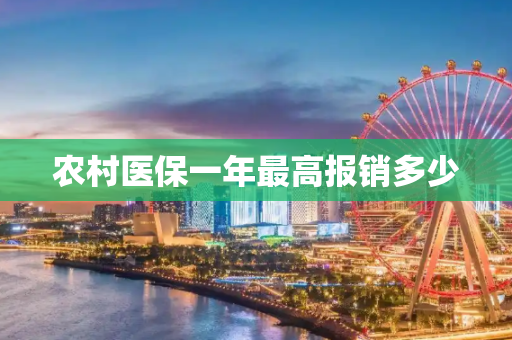 农村医保一年最高报销多少