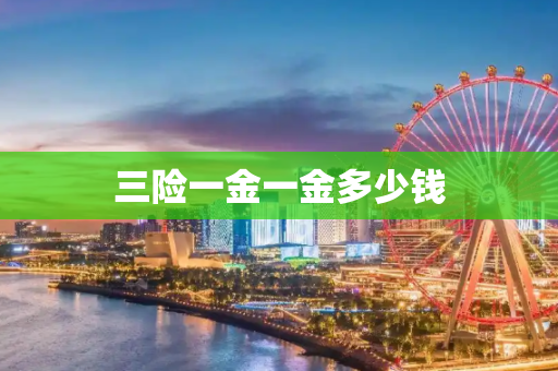 三险一金一金多少钱