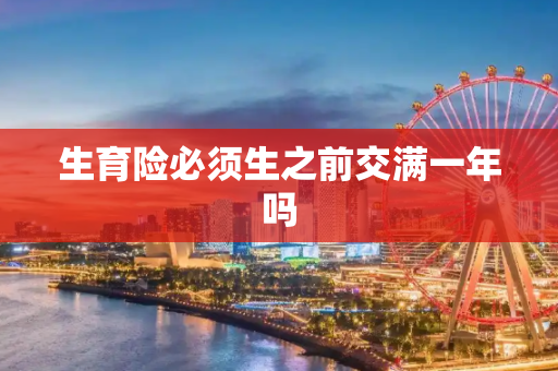 生育险必须生之前交满一年吗
