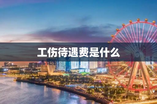 工伤待遇费是什么
