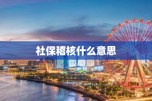 社保稽核什么意思
